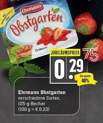 Scheck-in-Center Ehrmann Obstgarten Angebot