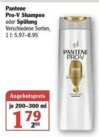 Globus Panten Prov Angebot