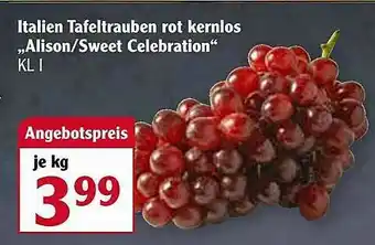 Globus Italien Tafeltrauben Rot Kernlos „alison-sweet Celebration” Angebot