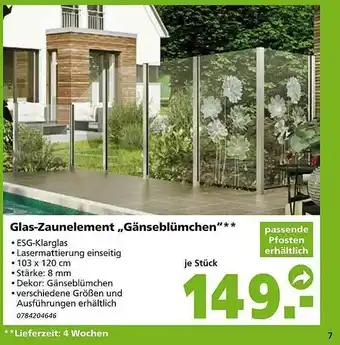 Globus Baumarkt Glas-zaunelement „gänseblümchen” Angebot