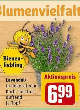 REWE Lavendel Angebot