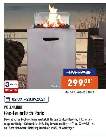 Aldi Nord Wellnature Gas-feuertisch Paris Angebot