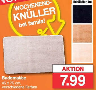 Famila Nord West Badematte Angebot