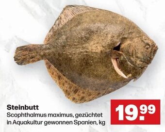 Handelshof Steinbutt Angebot