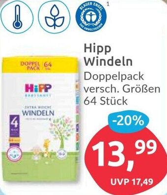 Budni Hipp Windeln 64 Stück Angebot