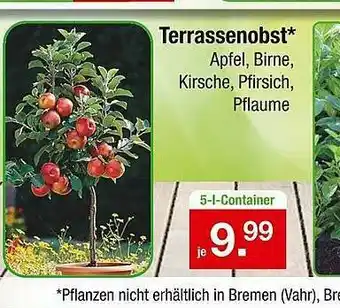 Zimmermann Terrassenobst Angebot