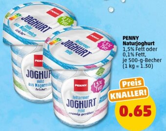 PENNY PENNY Naturjoghurt 500 g Becher Angebot