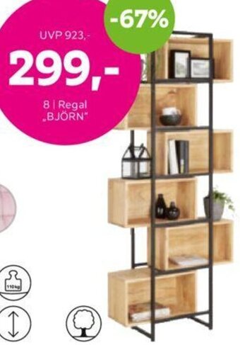 Mömax Regal „BJÖRN" Angebot