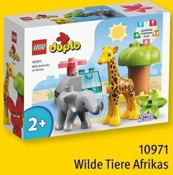 Rossmann LEGO duplo 10971 Wilde Tiere Afrikas Angebot