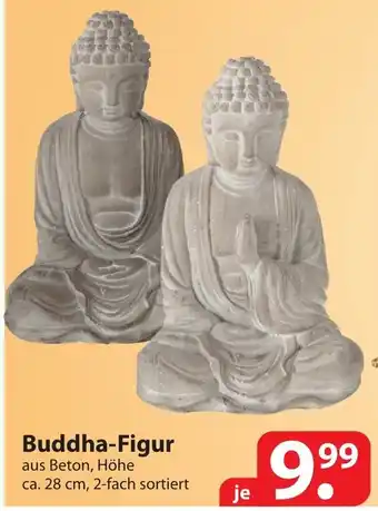 Famila Nord Ost Buddha Figur Angebot