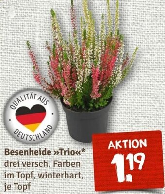 nahkauf Besenheide Trio Angebot