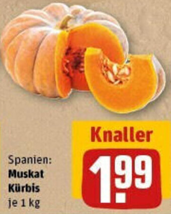 REWE Muskat Kürbis 1 kg Angebot