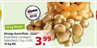 Multi Markt Hiesige Kartoffeln: ,,Gala" 10kg Btl. Angebot