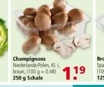 Multi Markt Champignons 250g Schale Angebot