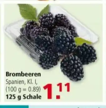 Multi Markt Brombeeren 125g Schale Angebot