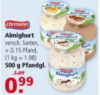 Multi Markt ALmighurt 500g Angebot