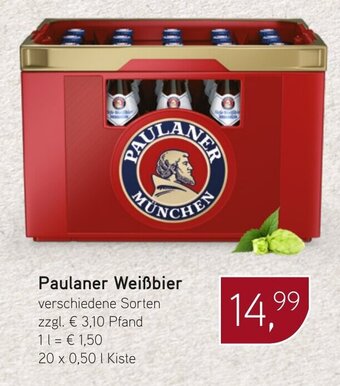 Dornseifer Paulaner Weißbier 20*500ml Angebot