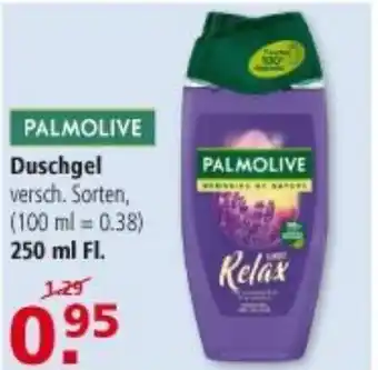 Multi Markt Duschgel 250ml Angebot