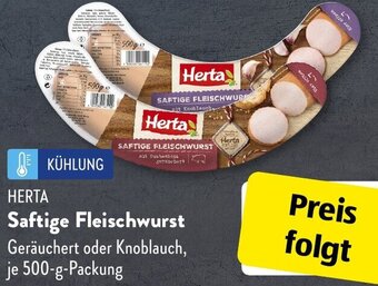 Aldi Süd HERTA Saftige Fleischwurst 500 g Packung Angebot