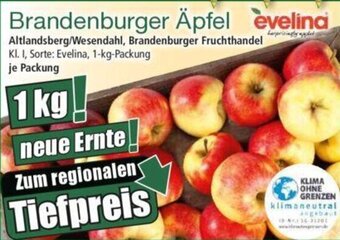 Norma Brandenburger Äpfel 1 kg Packung Angebot