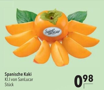 CITTI Markt Kaki Angebot