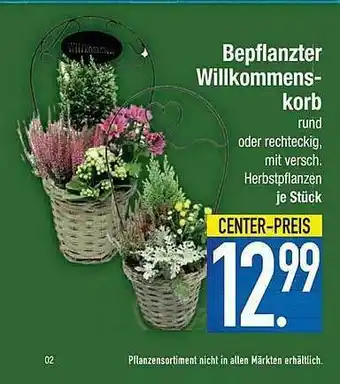 E-Center Bepflanzter Willkommens-korb Angebot