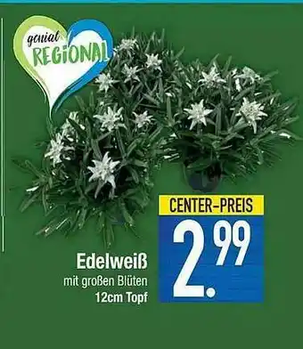 E-Center Edelweiß Angebot