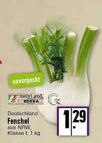 E-Center Deutschland Fenchel Angebot