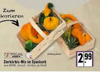 E-Center Zierkürbis-mix Im Spankorb Angebot