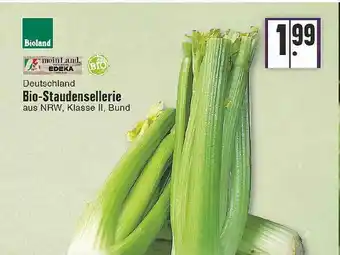 Edeka Bioland Deutschland Bio-staudensellerie Angebot