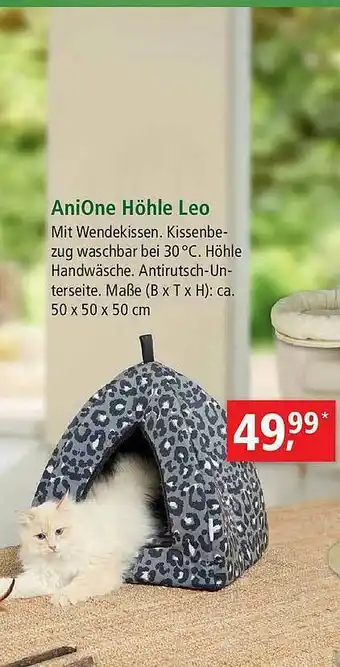 Fressnapf Anione Höhle Leo Angebot