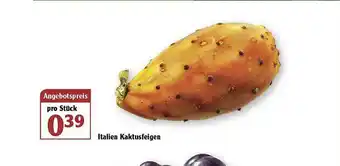 Globus Italien Kaktusfeigen Angebot