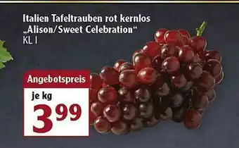 Globus Italien Tafeltrauben Rot Kernlos „alison Sweet Celebration” Angebot