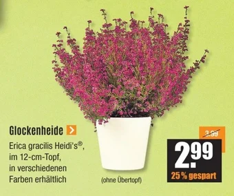 V Baumarkt Glockenheide Angebot
