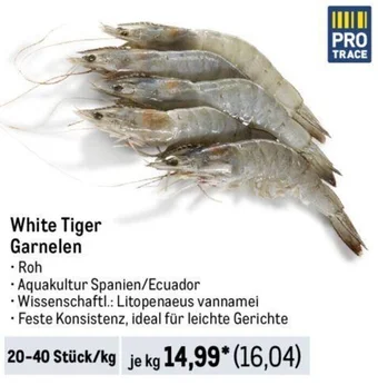 METRO White Tiger Garnelen Angebot
