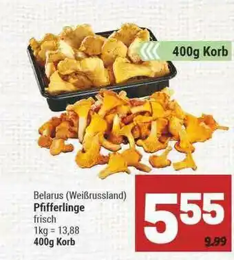 Marktkauf Belarus (weißrussland) Pfifferlinge Angebot