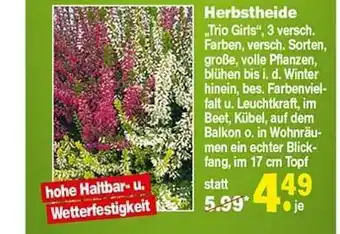 Repo Markt Herbstheide Angebot