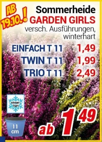 CENTERSHOP Sommerheide GARDEN GIRLS Angebot