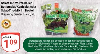 Globus Salate mit Wurzelballen Buttersalat/Kopfsalat oder Salat Trio Mix im Beutel Angebot