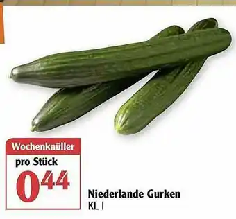 Globus Niederlande Gurken Angebot