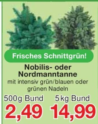 Jawoll Nobilis- oder Nordmanntanne 500 g Bund Angebot