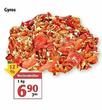 Globus Gyros Angebot