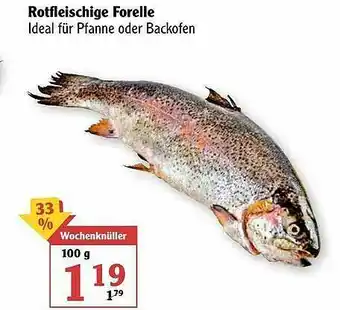 Globus Rotflieschige Forelle Angebot