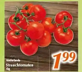 inkoop Strauchtomaten Angebot