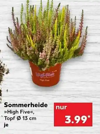 Kaufland Sommerheide „high Five” Angebot