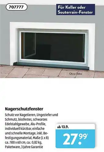 Aldi Süd Nagerschutzfenster Angebot