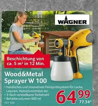 Selgros Wood & Metal Sprayer W 100 Angebot