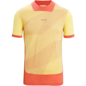 Intersport Icebreaker herren shirt summer/vibrant earth/aop l Angebot