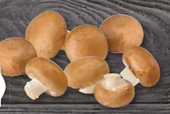 Edeka Frischemarkt Frische champignons Angebot