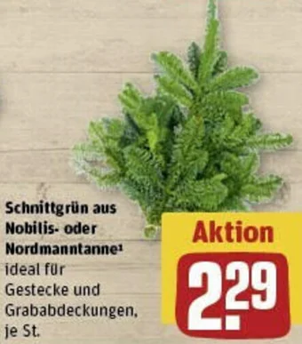 REWE Schnittgrün aus Nobilis oder Nordmanntanne Angebot